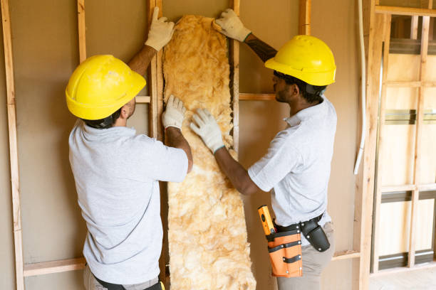 Best Home Insulation Services  in Spry, PA