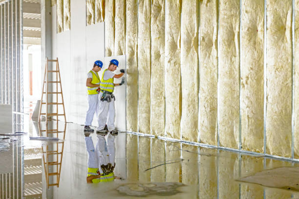 Best Insulation Removal Services  in Spry, PA